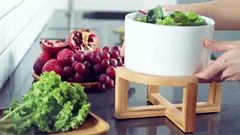 Gather Bowl — Porcelain Salad Set with Bamboo Stand
