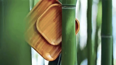 Little Square — Bamboo Appetizer Plate