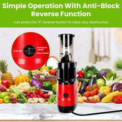 Morning Press — Slow Cold-Press Juicer