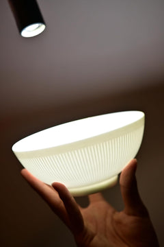 Dandilion — Fine Bone China Dinnerware for Four