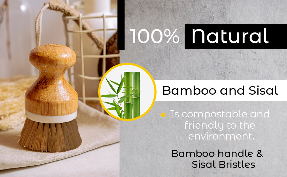 Daily Brush — Bamboo & Sisal Dish Scrubber