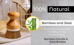Daily Brush — Bamboo & Sisal Dish Scrubber