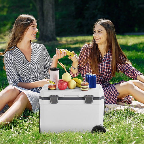 The Roll-Along Cooler — 45 qt Wheeled, 64 Cans