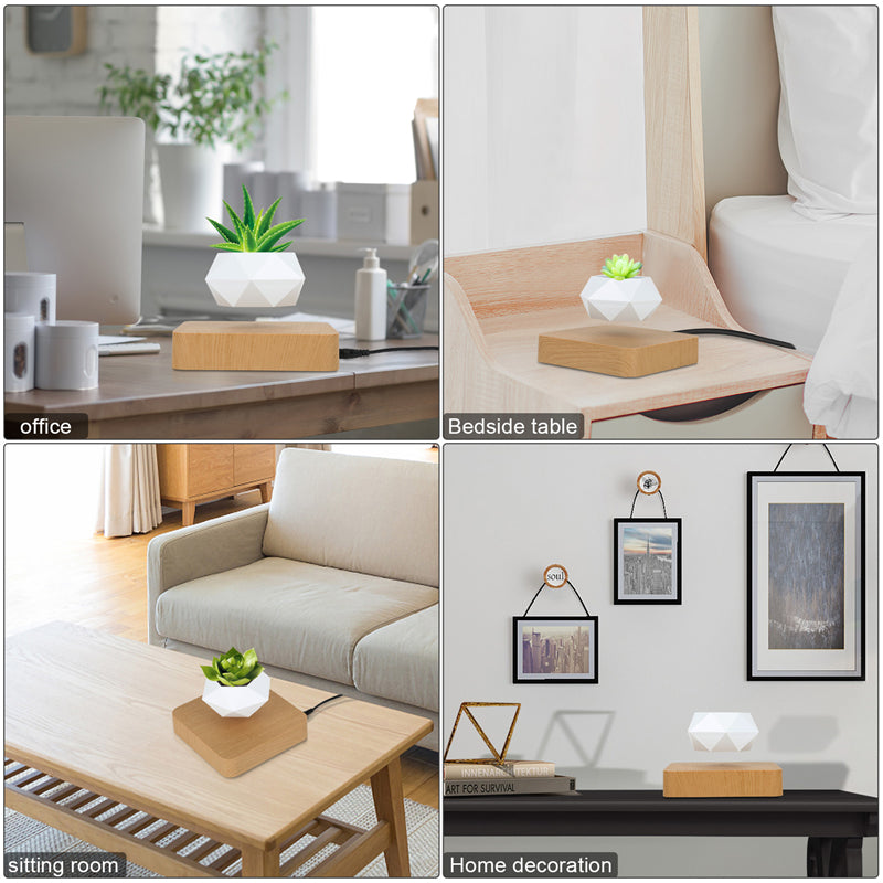 Floating Garden — Levitating Magnetic Bonsai Planter