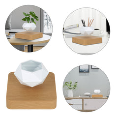 Floating Garden — Levitating Magnetic Bonsai Planter