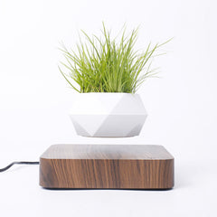 Floating Garden — Levitating Magnetic Bonsai Planter