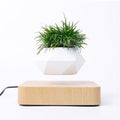 Floating Garden — Levitating Magnetic Bonsai Planter