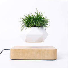 Floating Garden — Levitating Magnetic Bonsai Planter