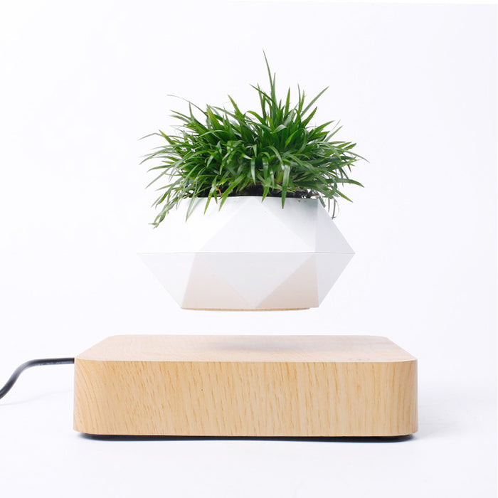 Floating Garden — Levitating Magnetic Bonsai Planter