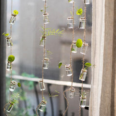 Garden Strand — Glass Rope-Hung Mini Planters