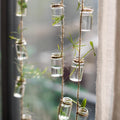 Garden Strand — Glass Rope-Hung Mini Planters