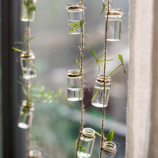 Garden Strand — Glass Rope-Hung Mini Planters