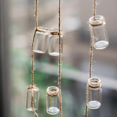 Garden Strand — Glass Rope-Hung Mini Planters