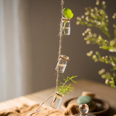 Garden Strand — Glass Rope-Hung Mini Planters
