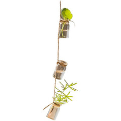 Garden Strand — Glass Rope-Hung Mini Planters