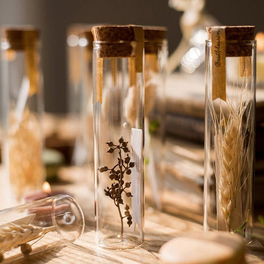 Pressed Garden — Dried Flowers in Glass Tubes, Set of 5
