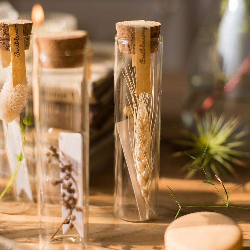 Pressed Garden — Dried Flowers in Glass Tubes, Set of 5