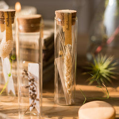 Pressed Garden — Dried Flowers in Glass Tubes, Set of 5
